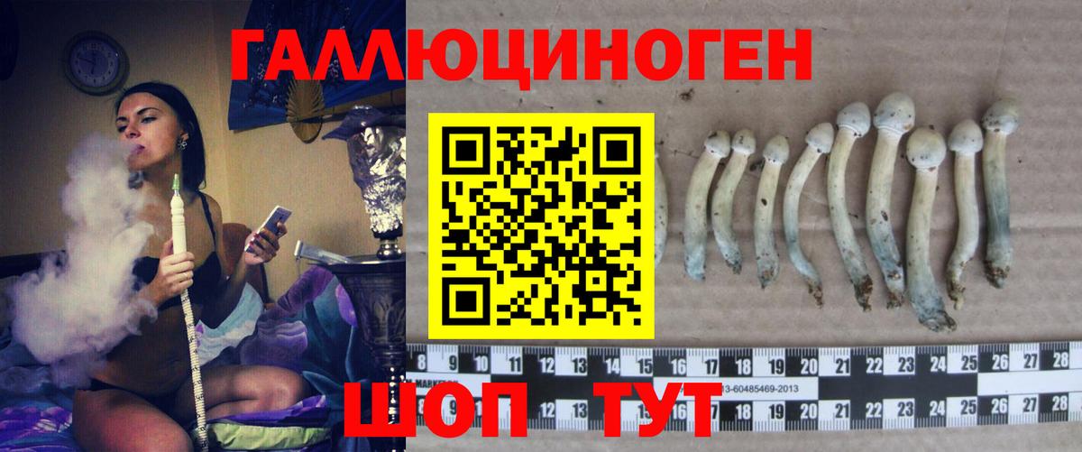 Прохладный  Галлюциногенные грибы мухоморы  Вход с VPN 